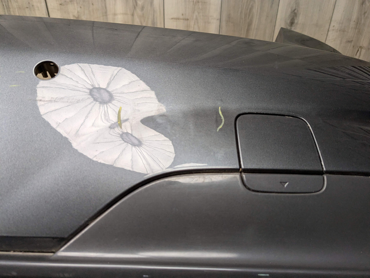 *19-22 OEM BMW G20 330 M SPORT Rear Bumper Cover Panel w Diffuser Gray B39