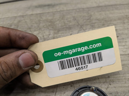 OEM BMW G20 G22 G23 G26 G80 G82 M3 M4 Door Midrange HiFi Stereo Audio Tweeter