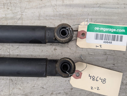 14-18 OEM BMW F15 F85 X5 X5M REAR Left Right Lower Tailgate Strut Supports PAIR