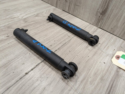 OEM BMW E70 X5 X5M Rear Lower Left Right Trunk Tailgate Shock Hatch Strut PAIR