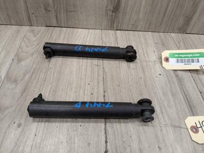 OEM BMW E70 X5 X5M Rear Lower Left Right Trunk Tailgate Shock Hatch Strut PAIR