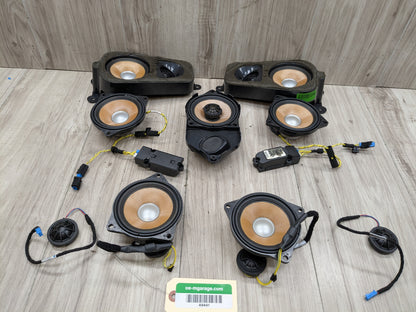 07-13 OEM BMW E70 X5 X5M Speaker Tweeter Audio Sound Mid Range INDIVIDUAL SET