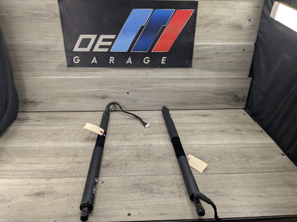 14-19 OEM BMW F34 GT 335 340 Rear Trunk Lid Left Right Shock Strut Support PAIR