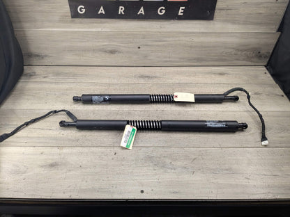 14-19 OEM BMW F34 GT 335 340 Rear Trunk Lid Left Right Shock Strut Support PAIR