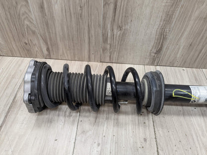 18-24 OEM BMW G01 X3 30i 30iX REAR Left or Right Spring Strut Shock Absorber