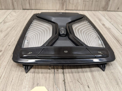 OEM BMW G01 G02 G05 G30 X3 X4 X5 Headliner Roof Console Dome Light SOS Switch