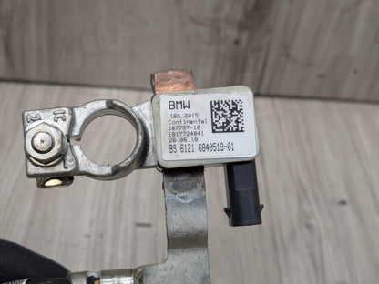 OEM BMW G01 G12 G30 530 540 M550 X3 Negative Battery Cable Terminal IBS Sensor