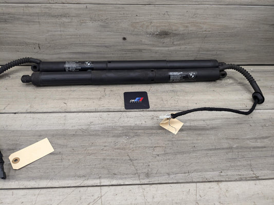 OEM BMW F15 F85 X5 X5M REAR Left Right Trunk Tailgate Shock Hatch Strut PAIR