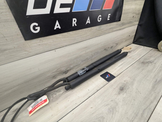 OEM BMW F15 F85 X5 X5M REAR Left Right Trunk Tailgate Shock Hatch Strut PAIR