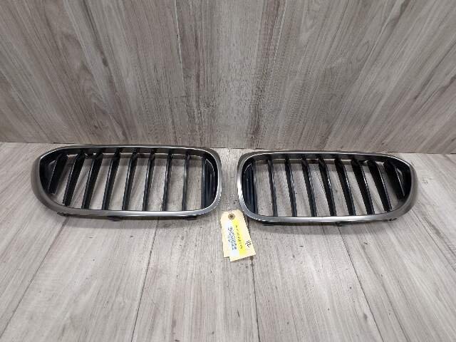 17-20 OEM BMW Front Left Right Bumper Kidney Grille SET