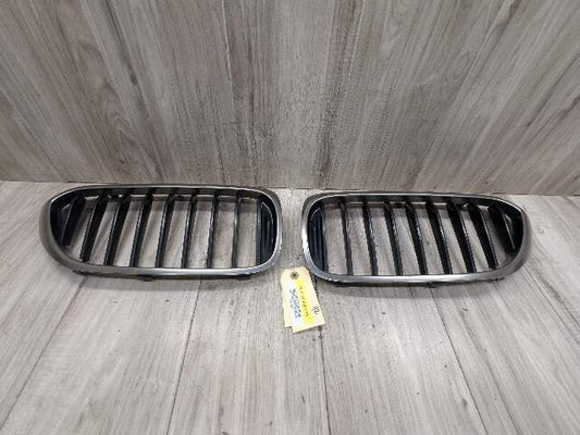 17-20 OEM BMW Front Left Right Bumper Kidney Grille SET