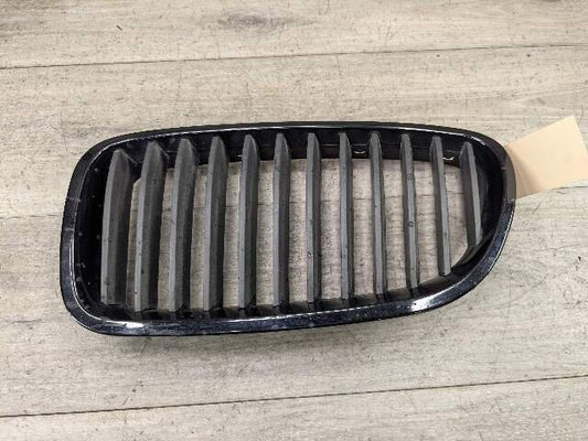 11-13 OEM BMW F10 528 535 550 Front Bumper Grille Insert
