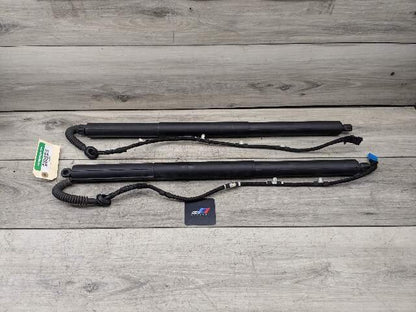 11-17 OEM BMW F25 X3 Rear Left Right Trunk Liftgate Shock Hatch Strut PAIR