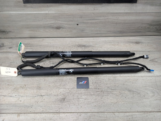 11-17 OEM BMW F25 X3 Rear Left Right Trunk Tailgate Shock Hatch Strut Pair