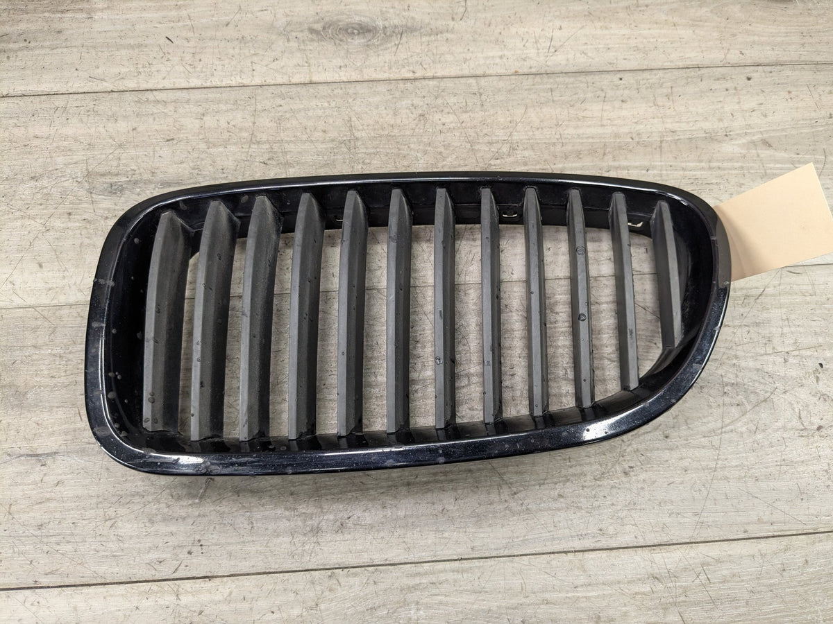 11-13 OEM BMW F10 528 535 550 Front Bumper Grille Insert