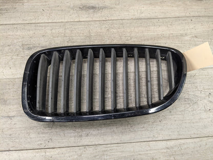 11-13 OEM BMW F10 528 535 550 Front Bumper Grille Insert