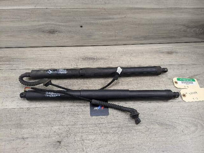 14-18 OEM BMW F15 F85 X5 Rear Left Right Trunk Tailgate Hatch Shock Strut SET