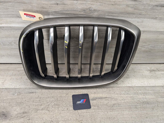 OEM BMW G01 G02 X3 X4 M40 Front Left Driver Upper Bumper Kidney Grill Chrome