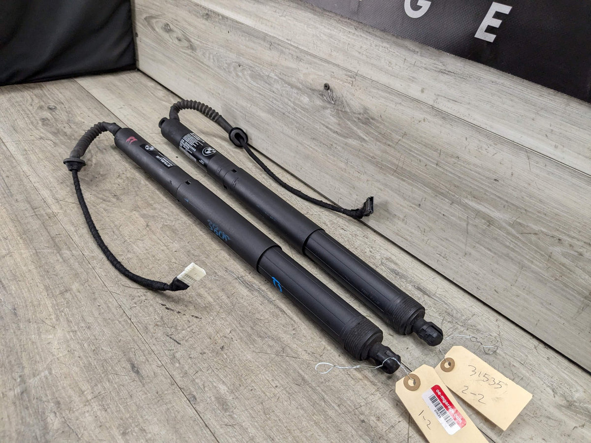 14-18 OEM BMW X5M F15 F85 Rear Left Right Trunk Tailgate Shock Hatch Strut Pair