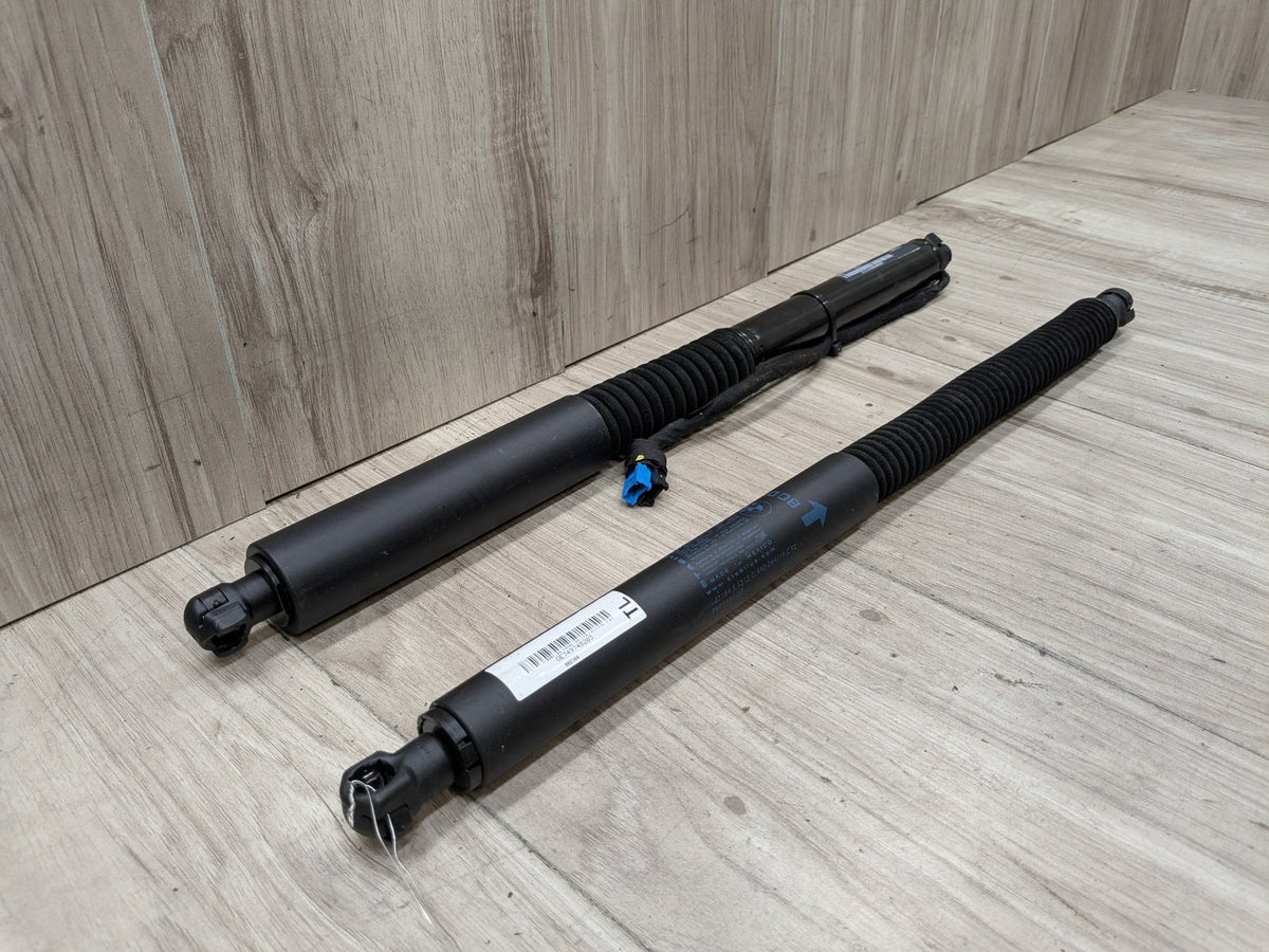 18-24 OEM BMW G01 F97 X3 X3M Rear Left Right Liftgate Shock Strut Lift Supports