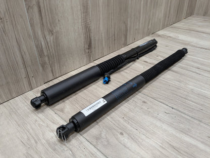 18-24 OEM BMW G01 F97 X3 X3M Rear Left Right Liftgate Shock Strut Lift Supports