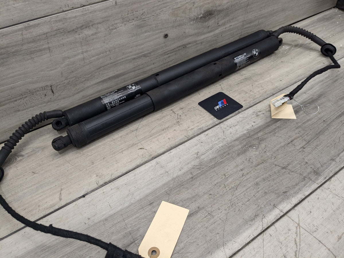 OEM BMW F15 F85 X5 X5M REAR Left Right Trunk Tailgate Shock Hatch Strut PAIR