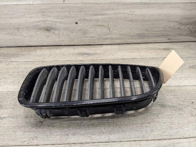11-13 OEM BMW F10 528 535 550 Front Bumper Grille Insert