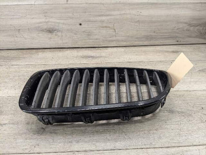 11-13 OEM BMW F10 528 535 550 Front Bumper Grille Insert
