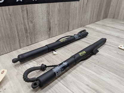 OEM BMW F15 F85 X5 X5M REAR Left Right Trunk Tailgate Shock Hatch Strut PAIR