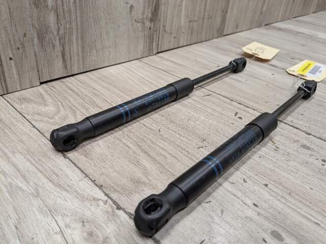 18-24 OEM BMW G01 G02 X3 X4 Front Left Right Hood Shock Lift Support SET