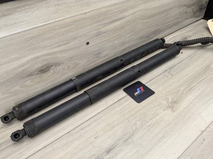 14-18 OEM BMW F15 F85 X5 Rear Left Right Trunk Tailgate Shock Hatch Strut Pair