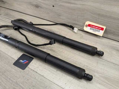 OEM BMW F15 F85 X5 X5M REAR Left Right Trunk Tailgate Shock Hatch Strut PAIR