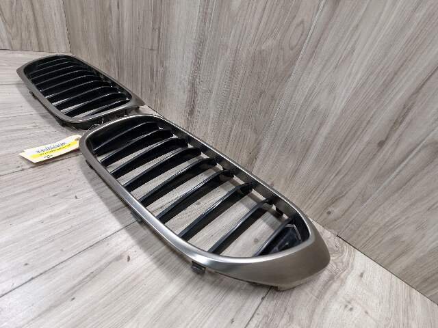 17-20 OEM BMW Front Left Right Bumper Kidney Grille SET
