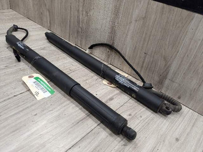 OEM BMW F15 F85 X5 X5M REAR Left Right Trunk Tailgate Shock Hatch Strut PAIR