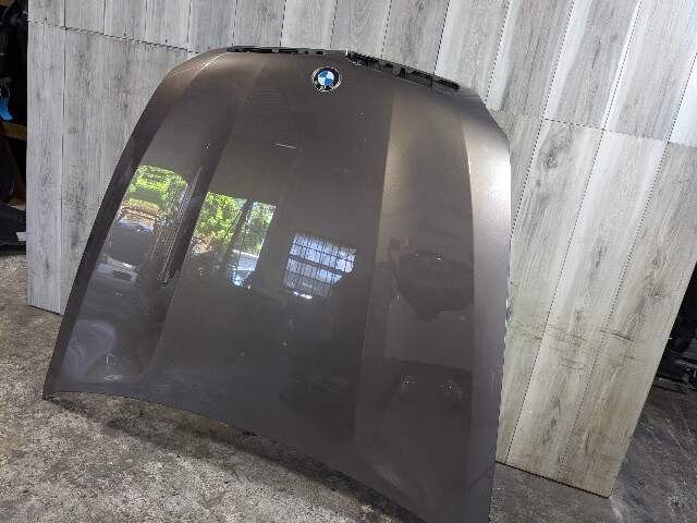 10-13 OEM BMW E70 X5 E71 X6 Hood Bonnet Panel Bronze B06*