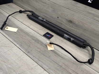 OEM BMW F15 F85 X5 X5M REAR Left Right Trunk Tailgate Shock Hatch Strut PAIR