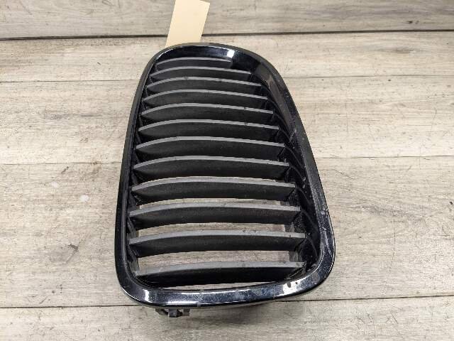 11-13 OEM BMW F10 528 535 550 Front Bumper Grille Insert