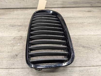 11-13 OEM BMW F10 528 535 550 Front Bumper Grille Insert