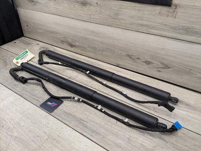 11-17 OEM BMW F25 X3 Rear Left Right Trunk Liftgate Shock Hatch Strut PAIR