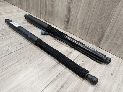 18-24 OEM BMW G01 F97 X3 X3M Rear Left Right Liftgate Shock Strut Lift Supports
