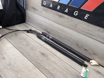 OEM BMW F15 F85 X5 X5M REAR Left Right Trunk Tailgate Shock Hatch Strut PAIR