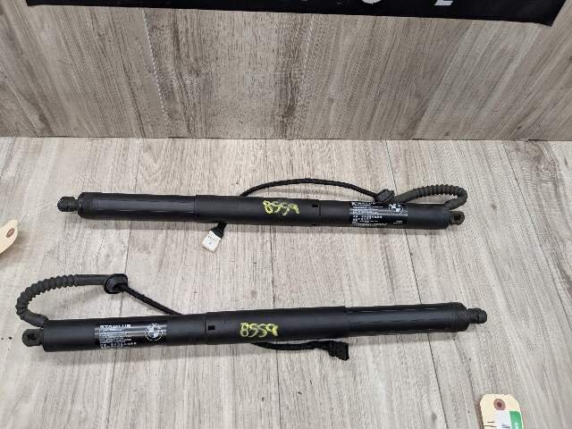 OEM BMW F15 F85 X5 X5M REAR Left Right Trunk Tailgate Shock Hatch Strut PAIR