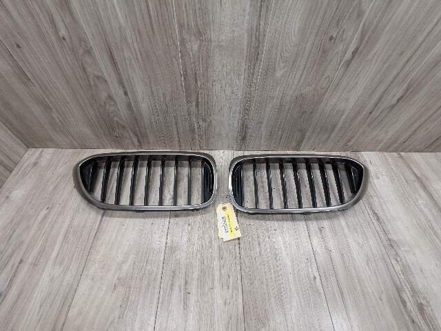 17-20 OEM BMW Front Left Right Bumper Kidney Grille SET