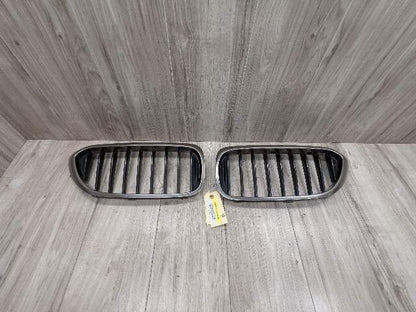 17-20 OEM BMW Front Left Right Bumper Kidney Grille SET