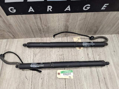 OEM BMW F15 F85 X5 X5M REAR Left Right Trunk Tailgate Shock Hatch Strut PAIR