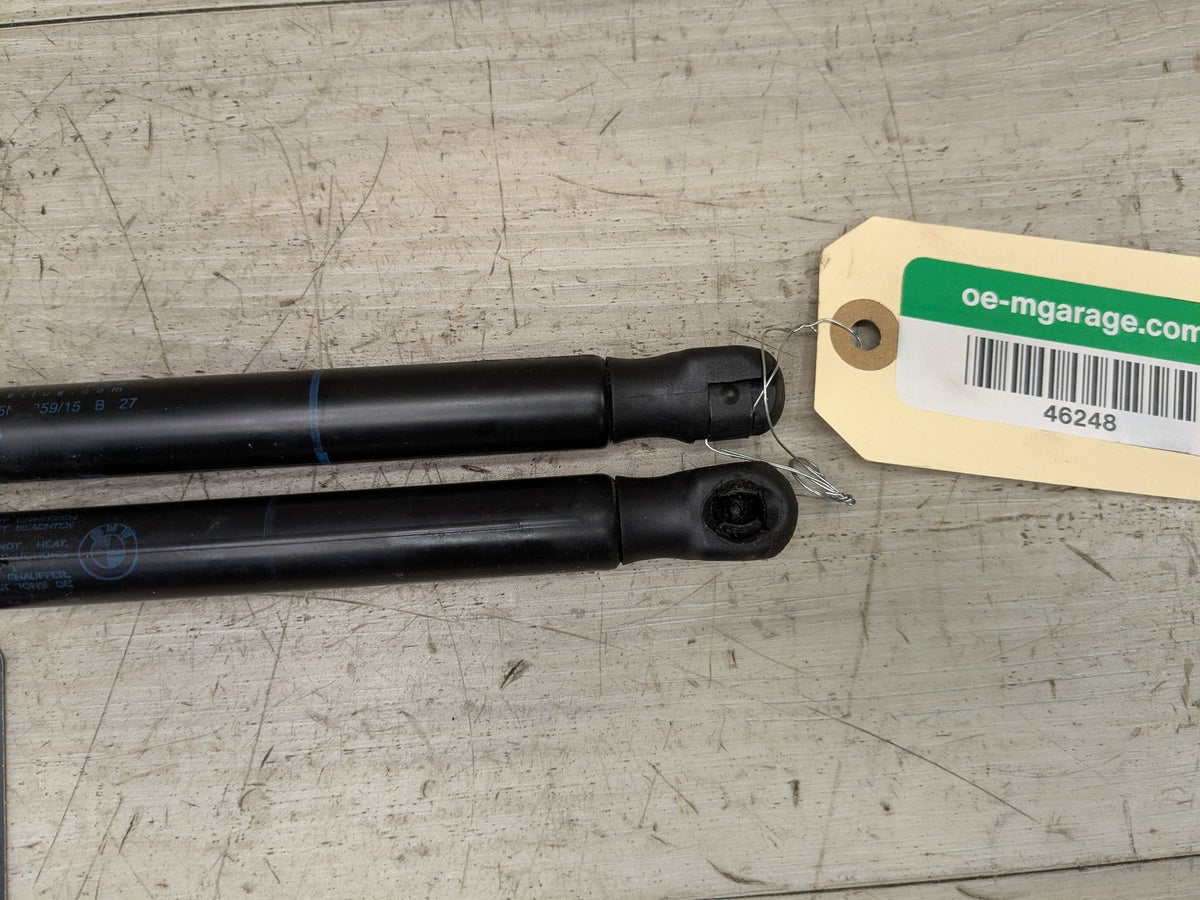 14-19 OEM BMW F15 F85 F86 X6 Front Left Right Hood Shock Lift Support Pair SET