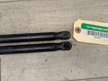 14-19 OEM BMW F15 F85 F86 X6 Front Left Right Hood Shock Lift Support Pair SET