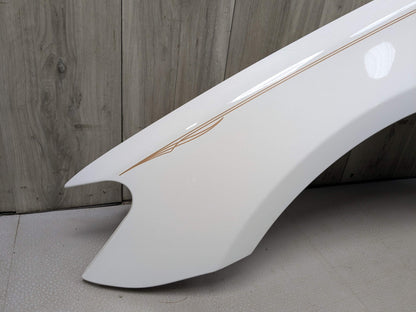 09-15 OEM BMW F01 F02 740 750 Front Left Driver Side Fender Panel White 300 White ALPINWEISS III (300)