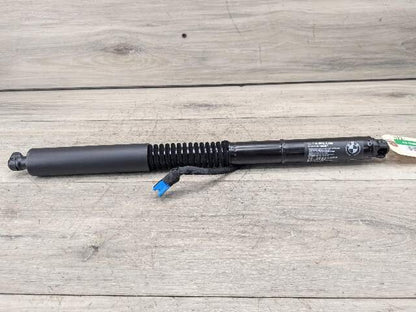 18-24 OEM BMW G01 F97 X3 X3M Rear Left Right Liftgate Shock Strut Lift Supports