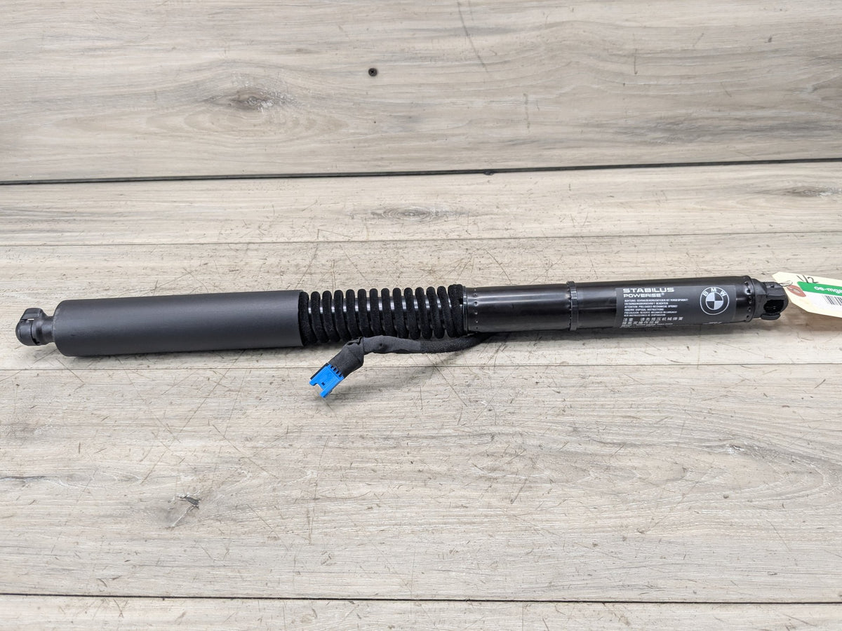 18-24 OEM BMW G01 F97 X3 X3M Rear Left Right Liftgate Shock Strut Lift Supports